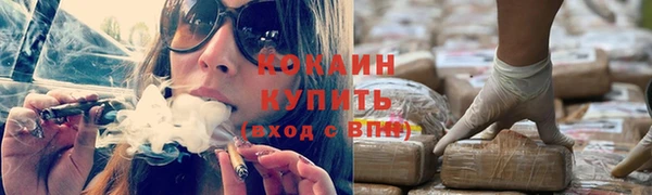 индика Россошь