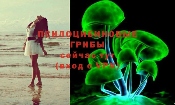 дживик Рославль