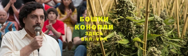 шишки Алзамай