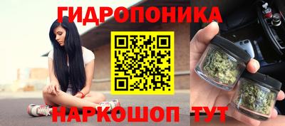 spice Краснокаменск