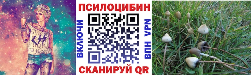 блэк спрут ONION  shop телеграм  Псилоцибиновые грибы мицелий  наркошоп  Камышлов 